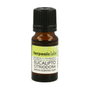Terpenic Aceite Esencial Eucalipto Citriodora BIO 10ml