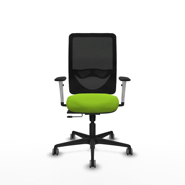 PIQUERAS Y CRESPO Silla de oficina Zulema con mecanismo Sincro/Traslack, Pistacho y Negro PIQUERAS Y CRESPO Silla de oficina Zulema con mecanismo Sincro/Traslack, Pistacho y Negro