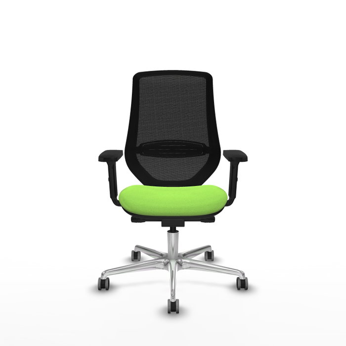 PIQUERAS Y CRESPO Silla de oficina Mardos con mecanismo Sincro/Traslack, Pistacho y Negro PIQUERAS Y CRESPO Silla de oficina Mardos con mecanismo Sincro/Traslack, Pistacho y Negro