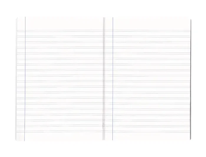 Liderpapel Scriptus Libreta A4 48 hojas 90g pauta 3,5mm con margen