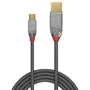 Lindy Cable USB 2.0 Tipo A a Mini-B Cromo Line, 1 m, Gris