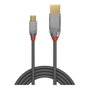 Lindy Cable USB 2.0 Tipo A a Mini-B Cromo Line 1 m Gris