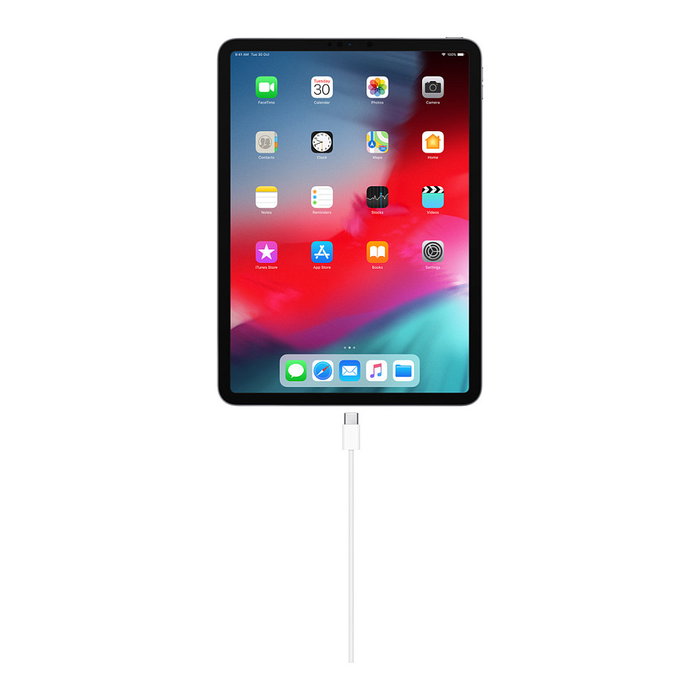 Apple Cable de carga USB-C (1 metro) con conector Lightning - Modelo MM093ZM/A