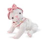 Berjuan Perro Pug Blanco Peluche 60111-24 35 cm