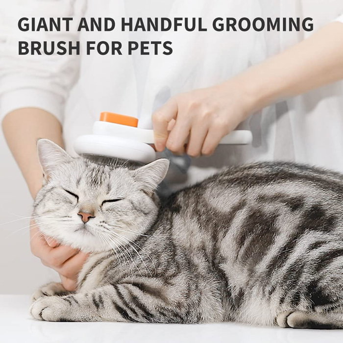 Petkit Pet Grooming Brush 2 (PGB2) Blanco