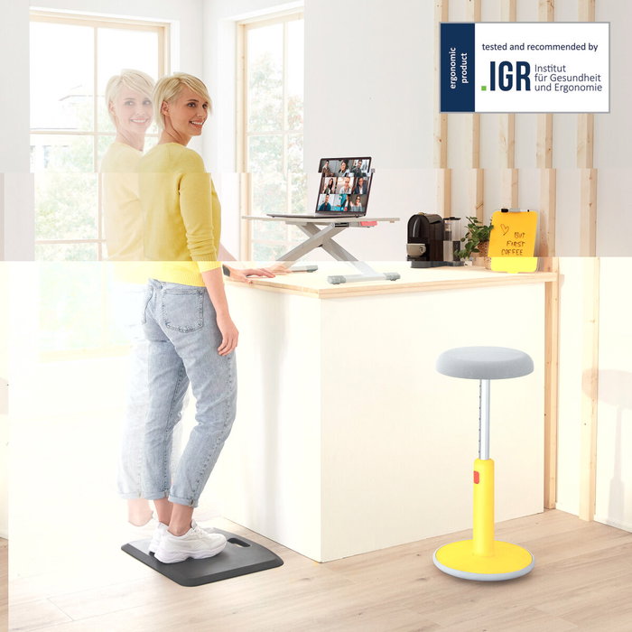 Leitz Ergo Cosy Convertidor de Escritorio Gris Leitz Ergo Cosy Convertidor de Escritorio Gris