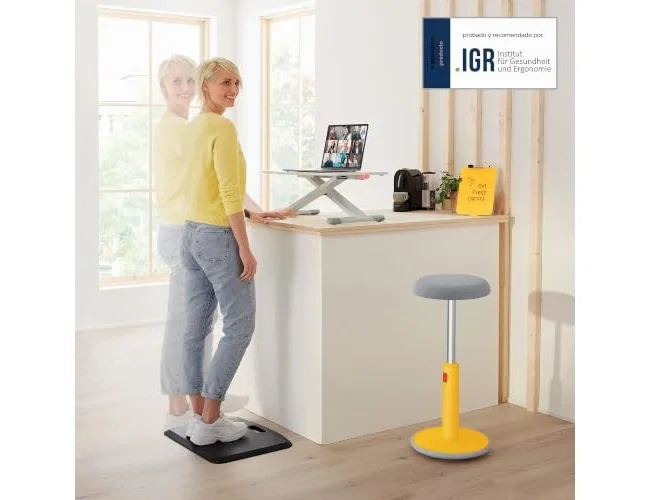 Leitz Ergo Cosy Convertidor de Escritorio Gris Leitz Ergo Cosy Convertidor de Escritorio Gris