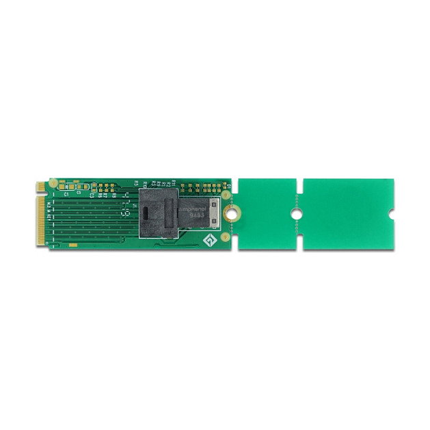 DeLOCK Adaptador M.2 Key M a SFF-8643 NVMe 22110/2280/2260 DeLOCK Adaptador M.2 Key M a SFF-8643 NVMe 22110/2280/2260