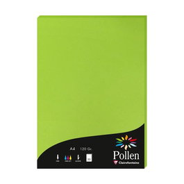 CLAIREFONTAINE Papel Pollen A4 120g Verde Menta
