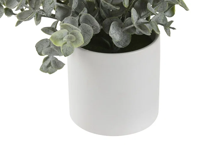 DKD Home Decor Planta PE 15x15x20 Surtida