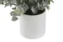 DKD Home Decor Planta PE 15x15x20 Surtida