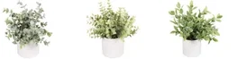 DKD Home Decor Planta PE 15x15x20 Surtida