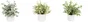 DKD Home Decor Planta PE 15x15x20 Surtida
