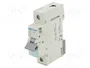 HAGER MBN163E Interruptor magnetotérmico 63A 1 polo 6kA