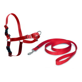 Petsafe Easy Walk Arnés Mediano Rojo
