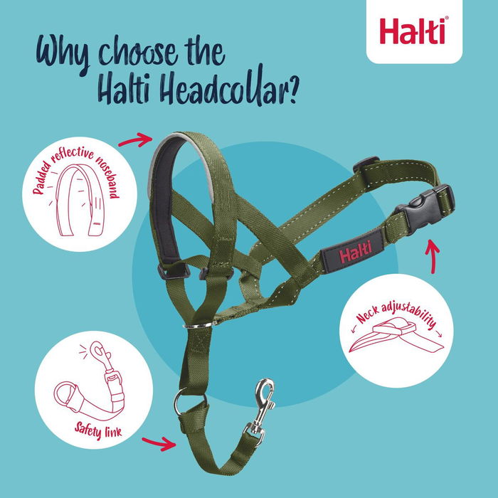 Bozal Company of Animals FOREST Verde 4