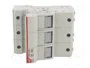 DF ELECTRIC Portafusibles PMX de 3 polos para raíl DIN