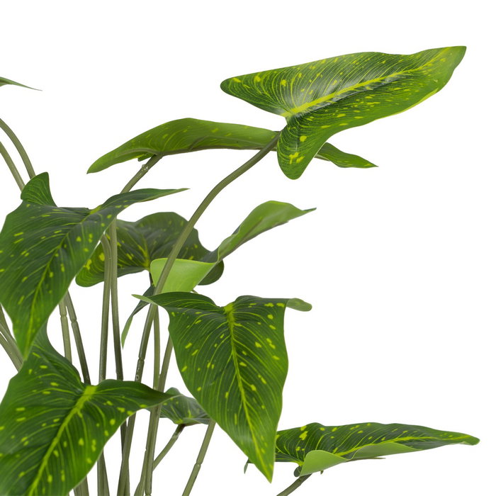 Rama Singonio Verde "Pvc" 43 X 41 X 46 cm (Set de 2)