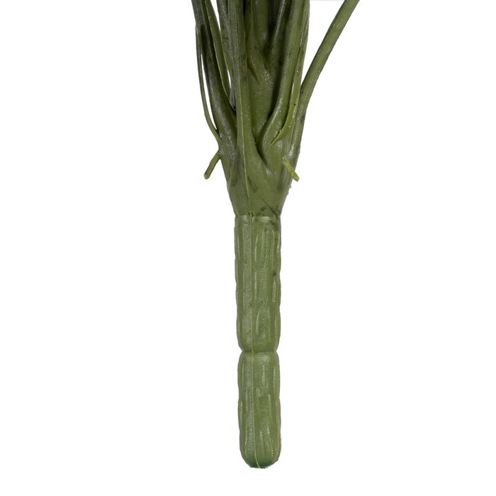 Rama Singonio Verde "Pvc" 43 X 41 X 46 cm (Set de 2)