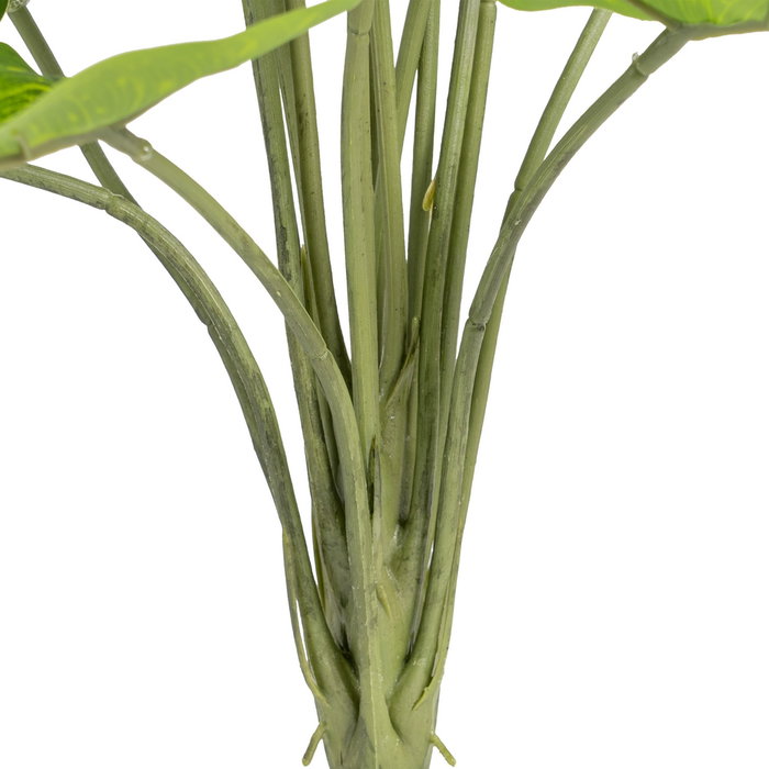 Rama Singonio Verde "Pvc" 43 X 41 X 46 cm (Set de 2)