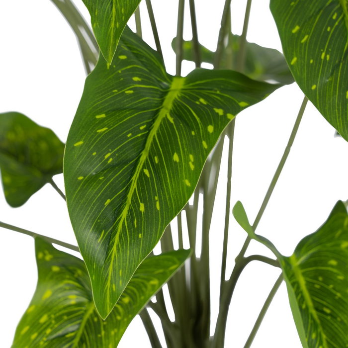 Rama Singonio Verde "Pvc" 43 X 41 X 46 cm (Set de 2)