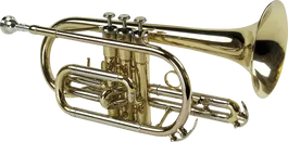 SML Corneta Sib Co50 SML Ancho 18cm Alto 27cm Largo 44cm Instrumento Musical de Viento Madera Laton Brillo