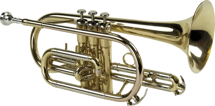 SML Corneta Sib Co50 SML Ancho 18cm Alto 27cm Largo 44cm Instrumento Musical de Viento Madera Laton Brillo