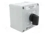 SPAMEL Interruptor de leva 10A 0-1 de 2 posiciones
