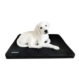 B. Braun Cama de Hospitalización S, 39.5x29.5x3 cm, 1 Unidad