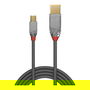 LINDY USB 2.0 Cromo Line Cable USB Tipo A a Mini-B Macho a Macho 2 Metros