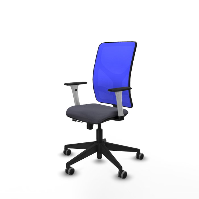 PIQUERAS Y CRESPO Silla de oficina Motilla con mecanismo Sincro/Traslack, Azul y Gris oscuro PIQUERAS Y CRESPO Silla de oficina Motilla con mecanismo Sincro/Traslack, Azul y Gris oscuro