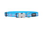 Red Dingo Collar Ajustable Flamingo Turquoise 20 mm x 31-47 cm Nylon