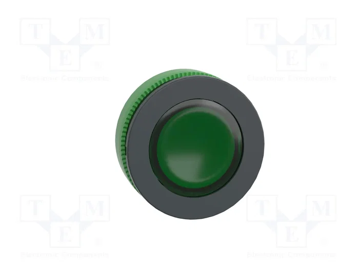SCHNEIDER ELECTRIC Interruptor de presión Harmony XB5 verde SCHNEIDER ELECTRIC Interruptor de presión Harmony XB5 verde