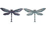 DKD Home Decor Decoración de Pared de Metal Libélula 30x1x18,5 cm