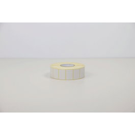 Brother Caja de 9 rollos de etiquetas térmicas protegidas de 30 x 20 mm
