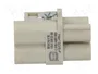 HARTING Han Q3/0 -F- Crimp Plantilla de Contacto Hembra