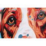DKD Home Decor Set de 2 Cuadros Perro y Gato 80x80 cm Multicolor