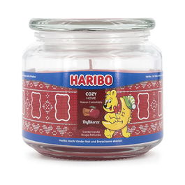 HARIBO A2203 Vela Perfumada Cozy Home Manzana Canela 300g 100h