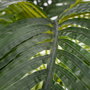 Planta Palmera Verde Artificial 170 cm