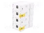 SCHNEIDER ELECTRIC ACTI9 C120N 63A 4 Polos 10kA