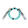 BlueOptics 100FRRA0100-BO Cable de fibra óptica AOC QSFP28 a QSFP28 de 10 m