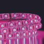Home Deco Factory Tira LED 1 Metro con Mando, 15 Colores, Adhesiva y Recortable para Decoración