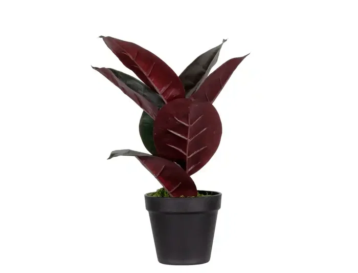 Paperflow Planta Artificial Ficus Elastica 36 cm, PEVA, 150x445x140 mm