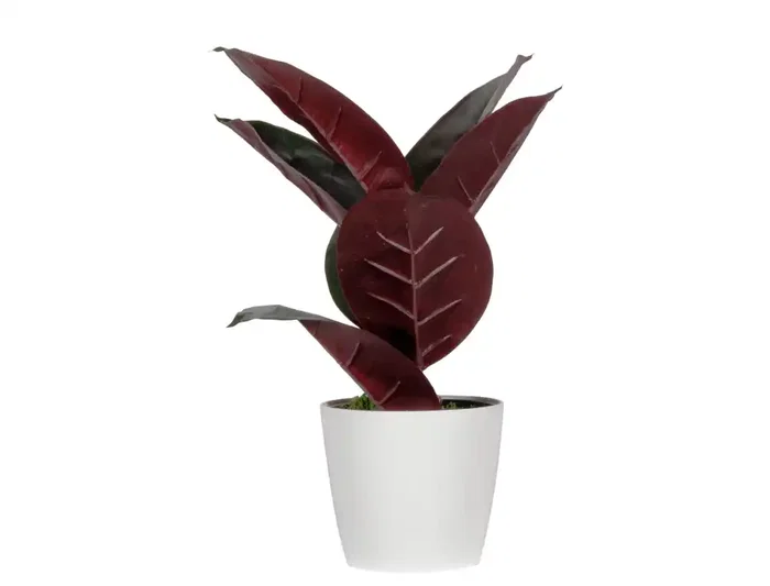 Paperflow Planta Artificial Ficus Elastica 36 cm, PEVA, 150x445x140 mm