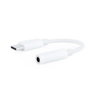 Nanocable Cable Adaptador de Audio USB-C Macho a Jack 3.5 Hembra, Blanco, 11 cm
