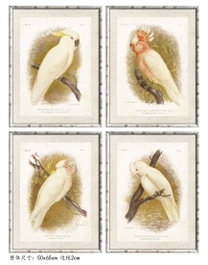 DKD Home Decor Cuadro Cristal Bambú Cacatua Surtido de 4 Unidades