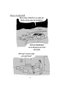 Astisendo Grupo Editorial, S.L. Guía del mal padre 2 (2ª edición) de Guy Delisle