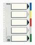 Esselte Separadores de Polipropileno 5 Posiciones Folio Colores