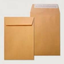 Sam Bolsa Salarios Kraft 100x145mm 70g con Tira de Silicona