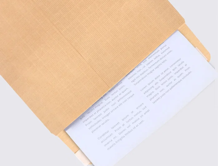 SAM Bolsas de Seguridad Kraft Marrón Armado 120 g 229x324 mm (100 unidades) SAM Bolsas de Seguridad Kraft Marrón Armado 120 g 229x324 mm (100 unidades)